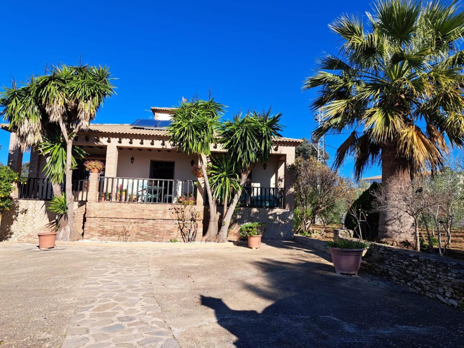 Вілла Casa Albarracin Setenil De Las Bodegas Екстер'єр фото